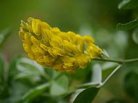 2014-06-13_11-15-51_0081