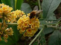 2009-07-29_08-27-37_0039