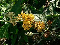 2009-09-01_09-32-37_0042