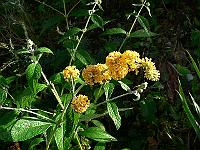 2009-10-08_09-57-47_0088