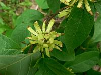 2011-06-08_08-47-42_0057