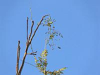 03-11-2006_15-40-06_03