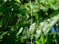 04-07-2006_10-19-55_137