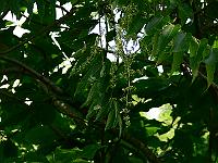 2010-07-23_09-41-53_0110