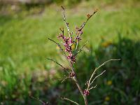 2012-05-07_07-45-39_0082