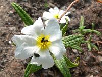 2009-07-03_08-27-33_0152