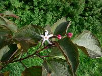 2009-09-17_09-03-20_0074