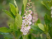 2012-08-17_09-59-42_0564