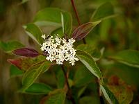 2012-07-29_13-28-19_0214