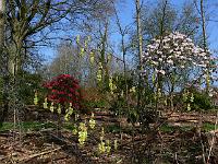 2011-04-19_08-35-05_0125