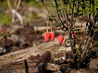 2012-05-02_08-42-15_0226