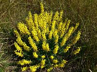 2010-07-10_09-51-41_0079