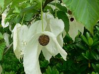 2009-05-17_09-42-12_0133