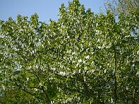 2014-05-20_09-25-10_0038