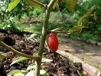 2009-05-26_10-52-44_0051