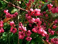 2011-10-06_13-41-23_0095