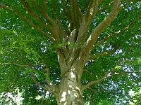 2008-05-23_08-57-26_0056