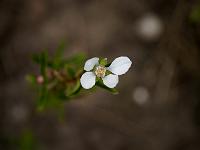 2012-06-07_14-22-03_0037