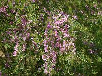 2014-06-26_10-07-32_0205