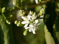 2012-09-06_08-05-35_0034