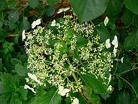 2009-06-18_08-42-38_0082