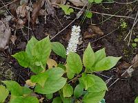 2013-07-23_16-19-55_0013