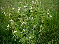 2013-06-07_20-29-15_0074