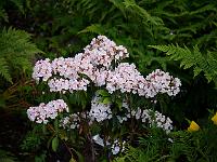 2012-06-16_20-40-58_0363