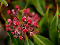 2012-05-31_13-20-07_0310