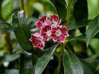 2012-06-26_12-50-53_0019