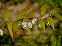 2012-05-22_08-07-35_0057