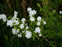 2013-07-08_20-04-23_0083