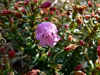 2011-05-10_08-16-28_0045