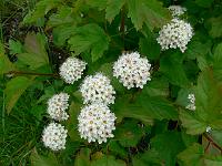 2010-06-26_13-04-29_0036