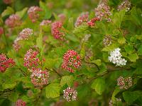 2014-06-20_10-29-50_0058