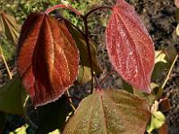 2008-09-25_07-59-40_0041