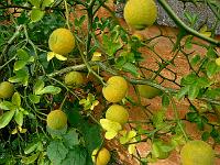 2010-10-22_12-46-48_0013