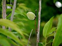 2012-07-02_17-33-43_0282