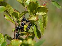 2012-08-29_11-41-51_0132