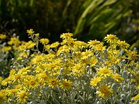 2014-06-17_18-27-27_0063