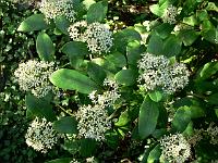 16-04-2007_10-00-55_53