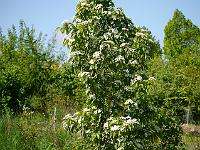 2014-05-15_09-35-24_0007