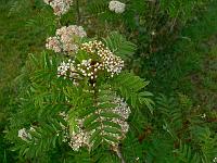 2011-05-26_18-52-19_0067