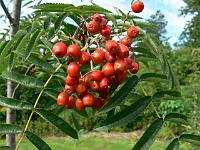 2011-07-26_15-17-58_0055