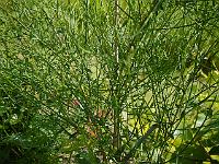 2014-06-18_09-21-12_0015