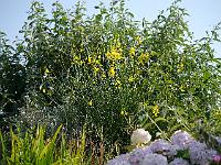 2014-07-19_15-59-07_0224