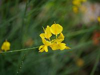 2014-08-14_09-43-18_0116