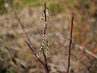 2012-03-23_08-52-45_0032