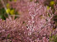 2014-05-22_16-51-34_0047