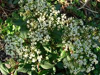 2009-04-20_15-13-13_0024